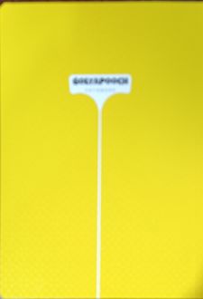 دفتر ۵۰ برگ خط‌دار پنتون ته‌چسب (گل یا پوچ) - زرد