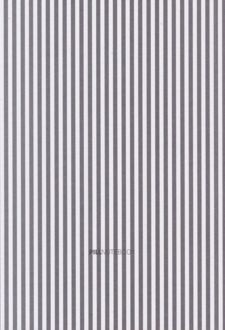 دفتر لاین جیبی (پیل - طوسی راه راه)