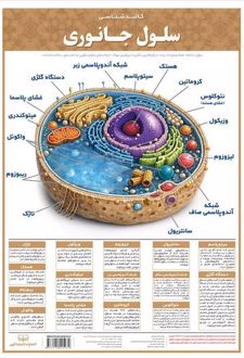 پوستر کالبدشناسی سلول جانوری A3