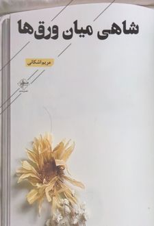 شاهی میان ورق‌ها