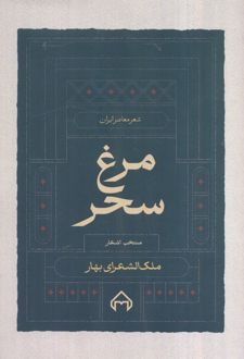 مرغ سحر