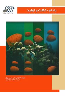 بادام، کشت و تولید