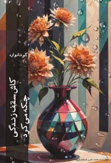 کاش سقف زندگی چکه می‌کرد