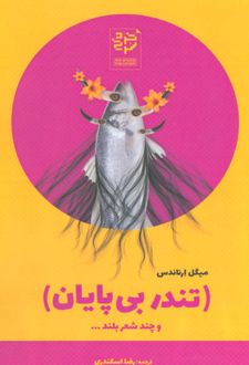 تندر بی پایان