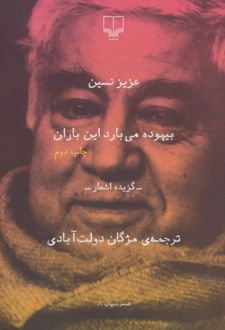 بیهوده می بارد این باران