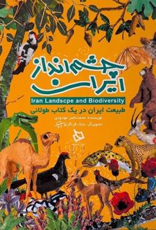 چشم انداز ایران