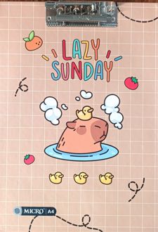 تخته‌شاسی A4 میکرو سری کرومی - (سگ‌آبی جوجه‌‌اردک)