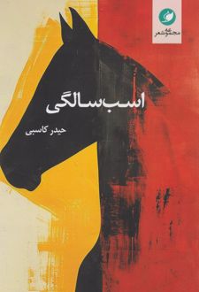اسب‌سالگی