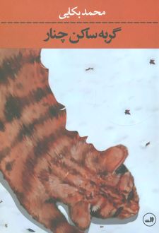 گربه ساکن چنار
