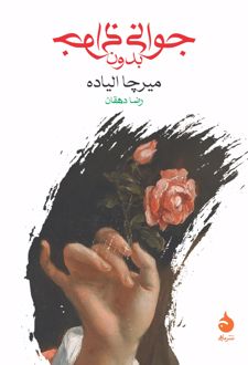 جوانی بدون جوانی