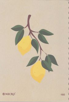 دفتر 160 برگ B5 سیمی جلد کرافت میکرو (لیمو)