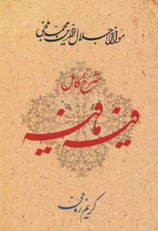 شرح کامل فیه ما فیه