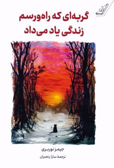 گربه ای که راه و رسم زندگی یاد می داد