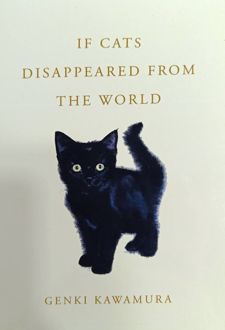 If Cats Disappeared from the World