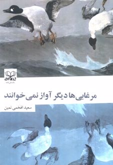 مرغابی‌ها دیگر آواز نمی‌خوانند