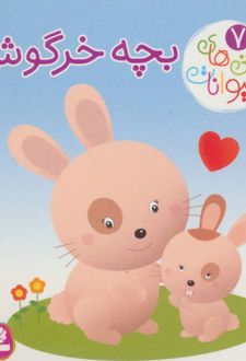 بچه خرگوش
