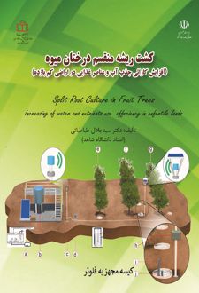 کشت ریشه منقسم درختان میوه