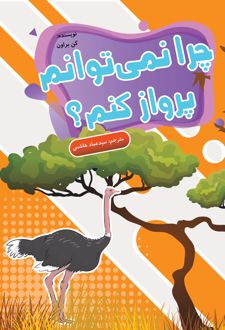 کتاب چرا نمی توانم پرواز کنم؟
