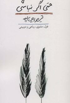 حتی اگر نباشی