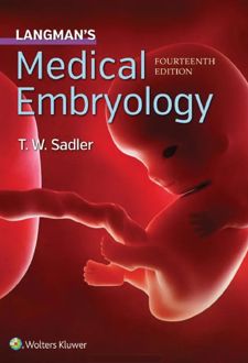 Langman’s medical embryology