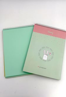 دفتر 25 برگی B5 سایز 175*250 کاغذ رنگی آبرنگی خرگوشی برگ سری بانی استایل (سبز)