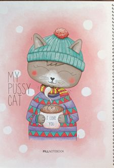 دفتر‌نقاشی 80 برگ رحلی جلد‌سخت سیم‌از‌بغل (پیل) گربه