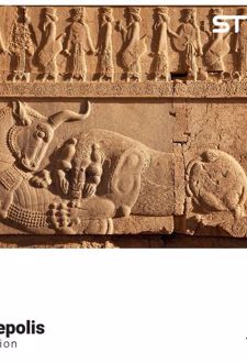 پازل شیشه‌ای استینو 1000 تکه طرح پرسپولیس (کد 17101)