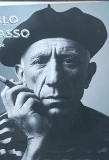 دفتر‌یادداشت 11*11 سری نقاشان (کیوی نوت) پیکاسو