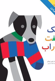 کتاب یک جفت جوراب