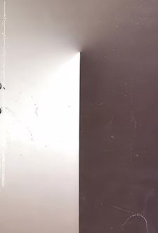 تاریخ تاریخ هنر