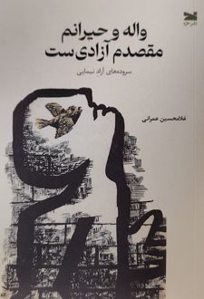 واله و حیرانم، مقصدم آزادی‌ست