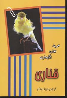 قناری