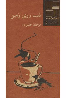 شب روی زمین