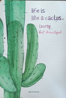 دفتر بلو وزیری (پیل - کاکتوس)