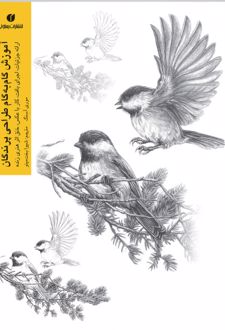 آموزش گام به گام طراحی پرندگان