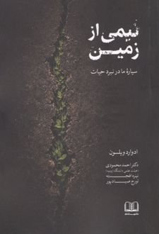 کتاب نیمی از زمین