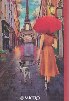 دفتریادداشت 200 برگ 21*12 میکرو جلدسخت سلفونی (دختر)