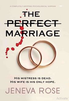 The Perfect Marriage