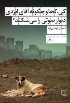 کی، کجا و چگونه آقای ایزدی دیوار صوتی را می شکند؟