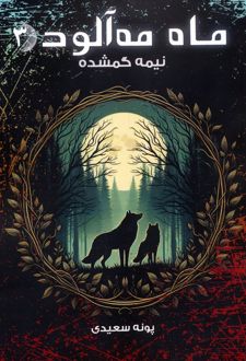 ماه مه آلود 3