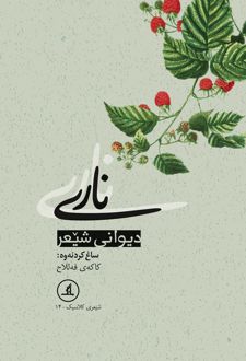 کتاب ناری : دیوانی شیعر