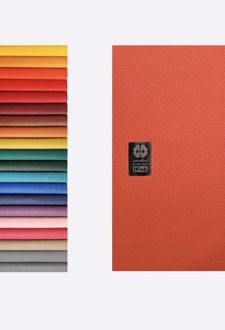 سالنامه باشگاه مغز اروپایی 1405