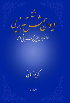 شرح دیوان شمس تبریزی - جلد دوم