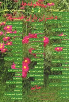 دختران باران هستند