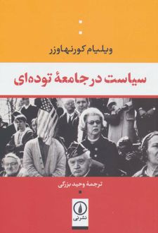 سیاست در جامعه توده ای