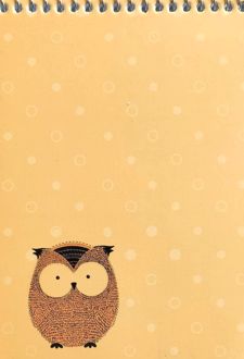 دفتریادداشت 80 برگ فنری (زانیس) - جغد