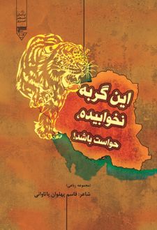 کتاب ین گربه نخوابیده حواست باشد!