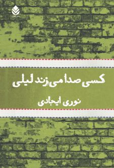 کتاب کسی صدا می‌زند لیلی