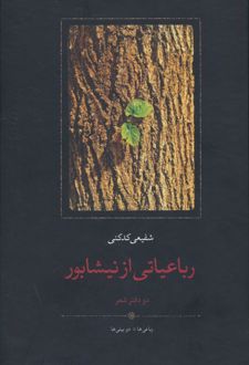 رباعیاتی از نیشابور
