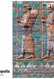 پازل شیشه‌ای استینو 1000 تکه طرح پرسپولیس (کد 17104)